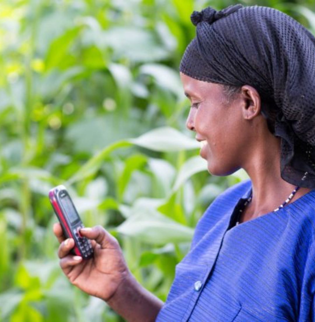 AgroLink empowering farmers